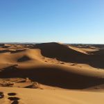 Duizend-en-één-foto’s