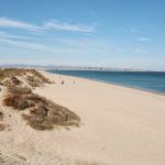 The Spanish Life of Suusje Q.