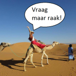 De meest gestelde vragen over mijn reis naar Australië