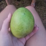 Fris en Fruit-af
