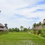 Terug naar Bali
