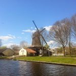 Happy Thoughts (week 16)