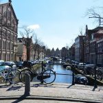 7x To Do’s voor een weekend Haarlem