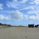 5x De mooiste en leukste stranden in eigen land