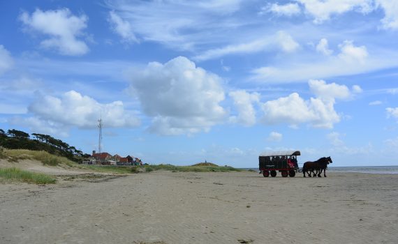 West-Terschelling