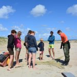 Wadproeven, korren, Vliehors and wadnot? Zo word ook jij een Wadden-expert!