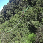 Pura vida in Monteverde: ecotoerisme en avontuur [+video!]