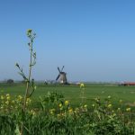 Waar ligt Laag Holland? [+video]