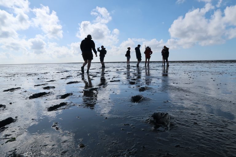 Wat te doen op Ameland? [+vlog] Ameland Activiteiten - Vrije Meid - The