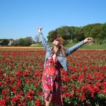10x De mooiste natuurgebieden van Nederland