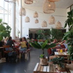 5x Hidden gems in Utrecht [+video]