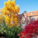Energieweek: een life changing experience