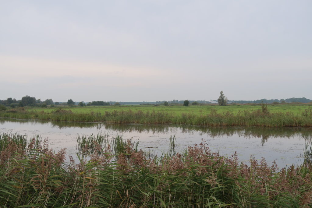 Zuidoost-Friesland