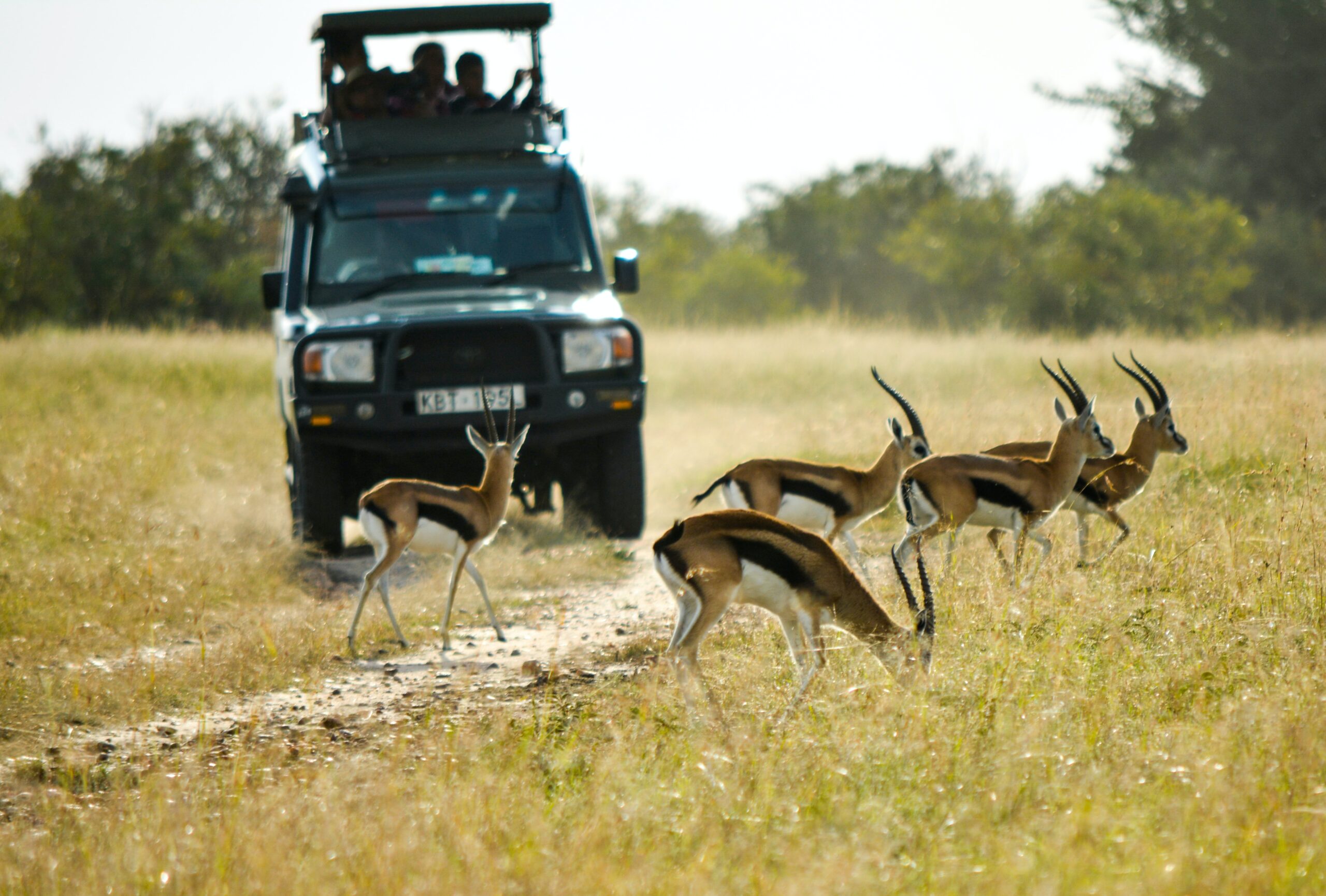 tanzania
