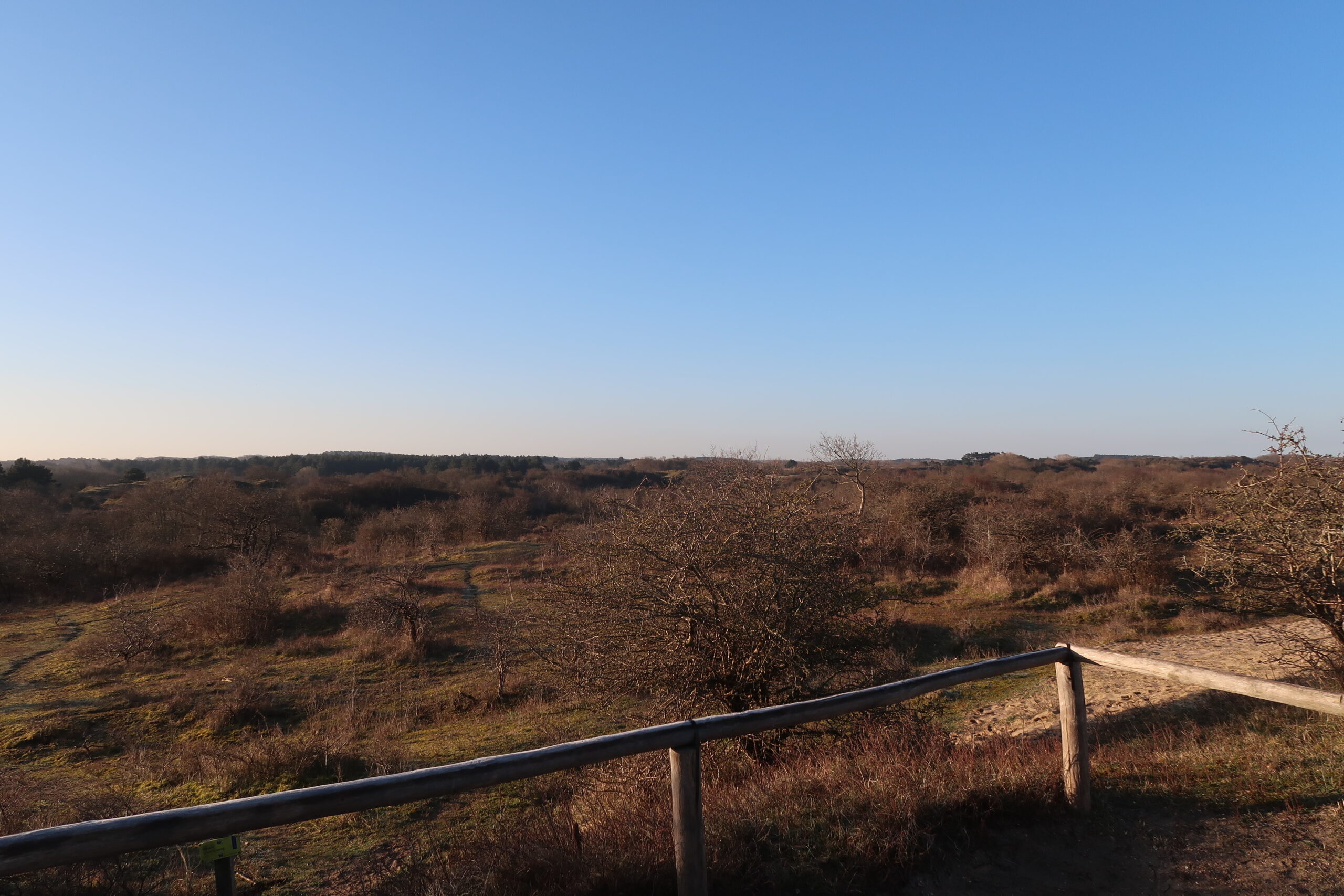 Bosvilla Kennemerduinen