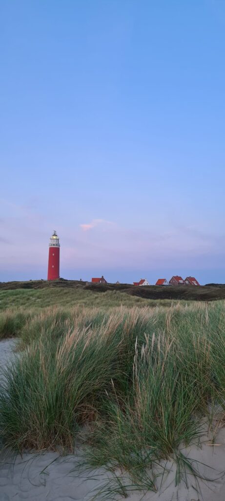 texel